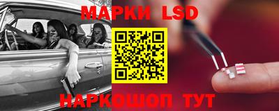 скорость Берёзовский