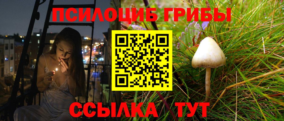 Каменка  Псилоцибиновые грибы Psilocybe  Вход с VPN 