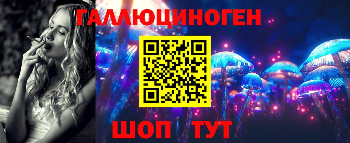 Галлюциногенные грибы Cubensis Каменка